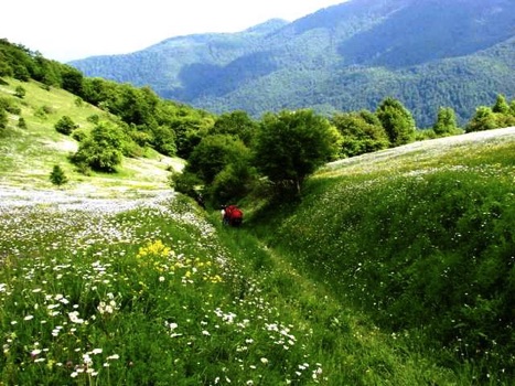Transcaucasian Trail